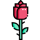 rosa icon