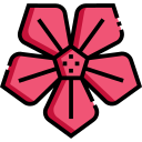 petunia icon