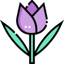 tulipán icon