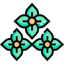 hortensia icon