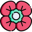 amapola icon