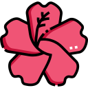 hibisco icon