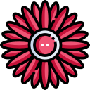 gerberas icon