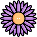 aster icon