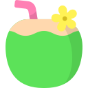 bebida de coco icon