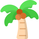 Árbol de coco icon