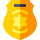 insignia icon