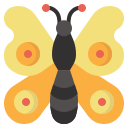 mariposa