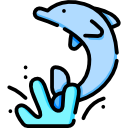 Дельфин 