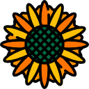 girasol 