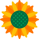 girasol