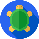 tortuga icon