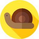 caracol icon