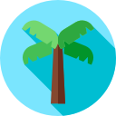 palmera icon