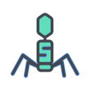 virus icon