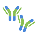 anticorpo 