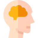 Brain 