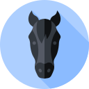 caballo icon