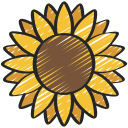 girasol