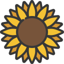 girasol icon