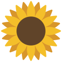 girasol icon