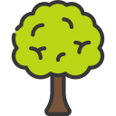 Árbol