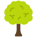 Árbol