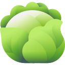 repollo icon