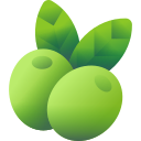 aceituna icon