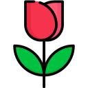 rosas icon