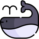 ballena icon