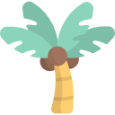 palmera