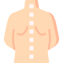 columna vertebral