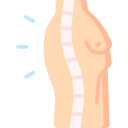 columna vertebral 