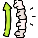 columna vertebral 