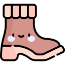 botas icon