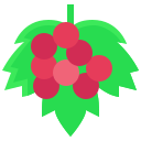 Redcurrant icon
