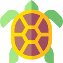 tortuga