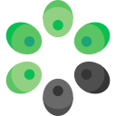 aceitunas icon