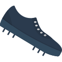 zapato icon