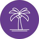 palmera icon