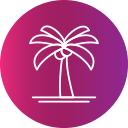 palmera