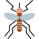 mosquito icon