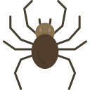 araña icon