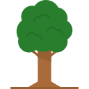 Árbol icon