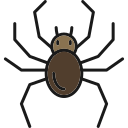 araña icon