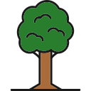 Árbol icon