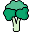 brócoli icon