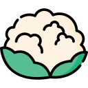 coliflor icon