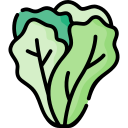 lechuga icon